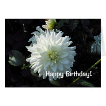 Saludos blancos del cumpleaños del aster tarjeta
