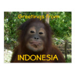 Saludos de la foto de INDONESIA Tarjetas Postales