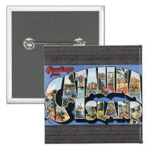 Saludos de la isla de Catalina, vintage Pins