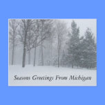 Saludos de las estaciones de la nieve Postca del i tarjetas postales