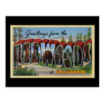 Saludos de las secoyas de California Tarjeta Postal