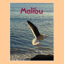 ¡Saludos de Malibu! tarjetas postales
