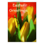 Saludos de Pascua Felicitación