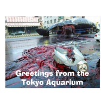 Saludos del acuario de Tokio Postales