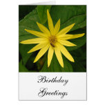 Saludos del cumpleaños del Helianthus Felicitacion