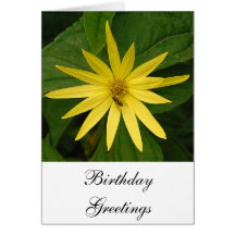 Saludos del cumpleaños del Helianthus Felicitacion