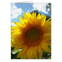 Saludos del girasol felicitaciones