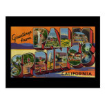 Saludos del Palm Springs California Postales