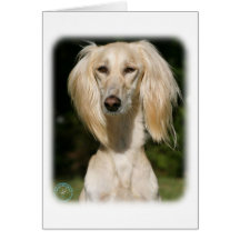 Saluki 9Y392D-047 Felicitaciones