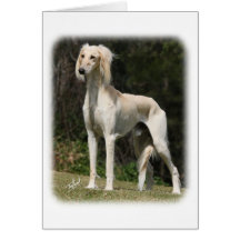 Saluki 9Y644D-026 Felicitación