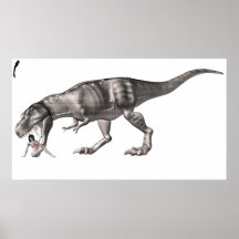 Sam y T-Rex - producciones del brazo derecho Poster