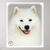 Samoyedo 9Y566D-019 Posters