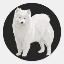 Samoyedo hermoso pegatinas  