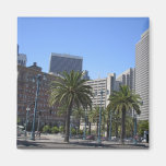 San Francisco Imanes