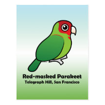 San Francisco Rojo-enmascaró el Parakeet Postal