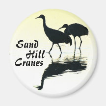Sandhill Cranes el botón Imán Para Frigorifico