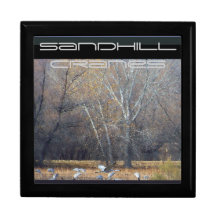 Sandhill Cranes la caja de regalo