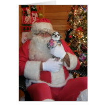 Santa y chihuahua tarjetas