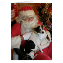 Santa y Jack Russell tarjetas