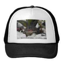 Sapo córneo gorras de camionero