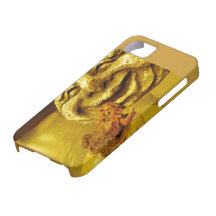 Sapo de oro con la roca feliz de la cara iPhone 5 coberturas