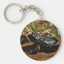 Sapo negro llavero personalizado
