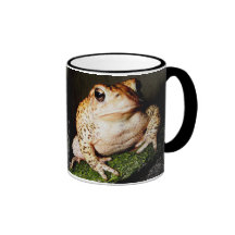 Sapo norteamericano tazas