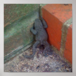 Sapo Impresiones