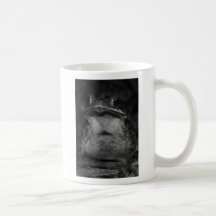 sapo taza