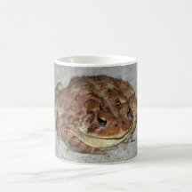 Sapo Taza