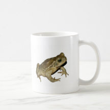 Sapo Taza De Café