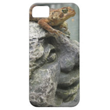 Sapo tonto fresco iPhone 5 Case-Mate funda