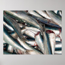Sardinas frescas poster