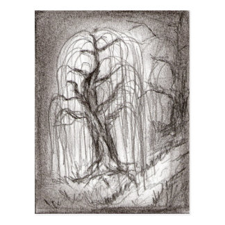 Sauce que llora postales