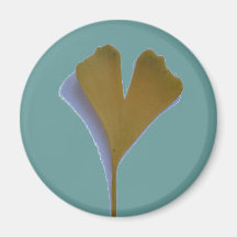 Save the Ginkgo Tree! - Magnet Magnets