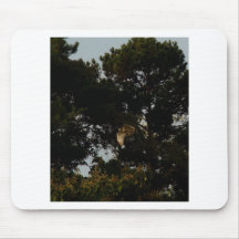 Scenes2 al aire libre tapetes de ratones