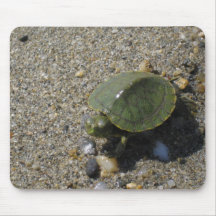 Schildkröte Mousepad