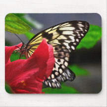 Schmetterling Mauspad