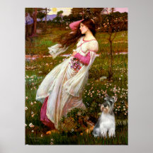 Schnauzer 11N - Windflowers Posters