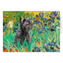 Schnauzer 12 - Iris Felicitaciones