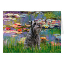 Schnauzer 12 - Lirios 2 Felicitación