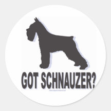 ¿Schnauzer conseguido? Pegatinas Redondas