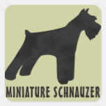 Schnauzer miniatura pegatinas cuadradases