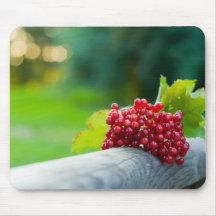 Schneeballstrauch Beeren Mauspads