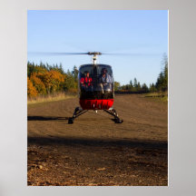 Schweizer 300C de frente Posters