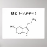 ¡Sea feliz! Poster de la serotonina