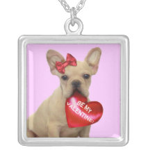 Sea mi collar del perrito del dogo francés de la t