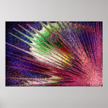 seashell del color poster