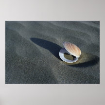 Seashell, Nueva Zelanda Impresiones