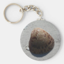 Seashell romántico en la playa en la Florida Llaveros
